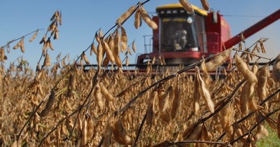 Se observa leve recuperación en precios de algunos commodities