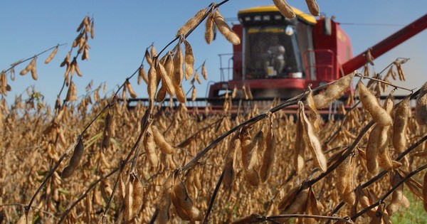 Se observa leve recuperación en precios de algunos commodities