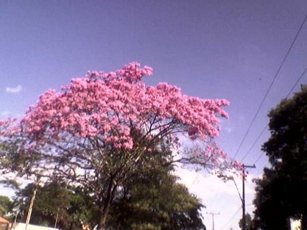 Condición estable y aumento en las temperaturas