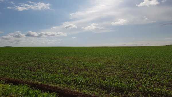 MARTES CON AMBIENTE CÁLIDO A CALUROSO