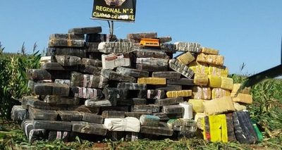 Incautan más de 3,4 toneladas de marihuana en Alto Paraná