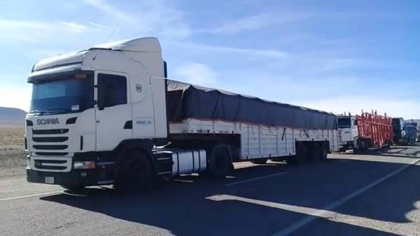 HOY / Argentina: camioneros paraguayos no pueden bajar ni para hacer sus necesidades