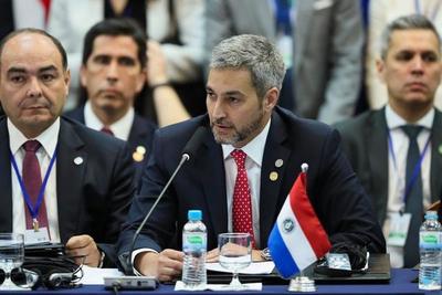 Por primera vez en 29 años una Cumbre del Mercosur se realizará por videoconferencia - El Trueno