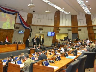 Diputados sanciona eliminar elección de parlasurianos