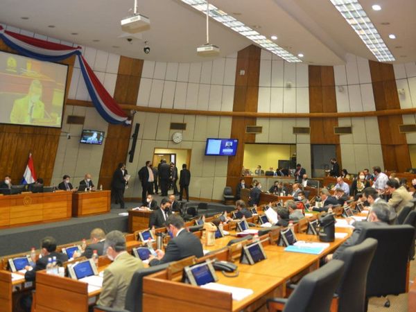 Diputados sanciona eliminar elección de parlasurianos