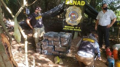 Decomisan gran cantidad de marihuana en campamento narco  - Nacionales - ABC Color