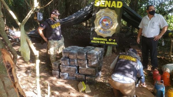 Decomisan gran cantidad de marihuana en campamento narco - Nacionales - ABC Color
