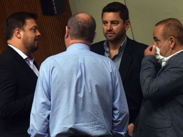 Diputados no recortan salarios en binacionales y mantienen los viajes