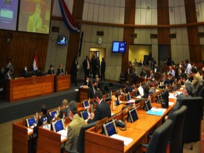 Diputados aprueban con modificaciones el proyecto que anula facturas de ANDE y ESSAP