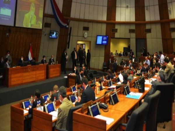 Aprueban anular facturas de ANDE y exonerar hasta G. 442 mil