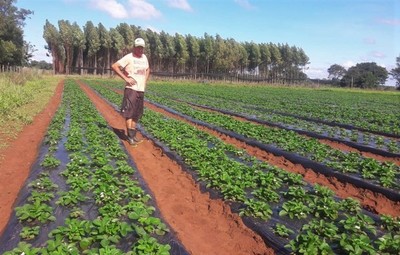 Crédito Agrícola logró recaudar G. 165.000 millones mediante el pago puntual de sus clientes