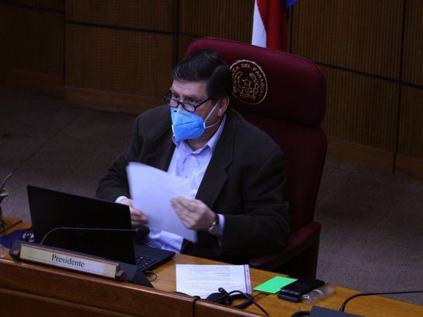 Senado trataría este jueves el veto a la ley que permite falseo de DDJJ