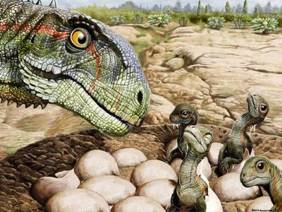 Los primeros dinosaurios pusieron huevos de cáscara blanda