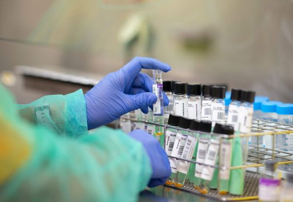 MSP busca comprar 550.000 kits de toma de muestras para tener “respiro” por 3 meses - Nacionales - ABC Color