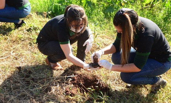 Municipalidad de CDE e INFONA promueven la reforestación por el Día del Árbol