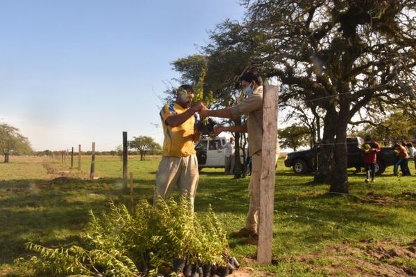 Edil insta a volverse hacía el campo para superar crisis económica  - Nacionales - ABC Color