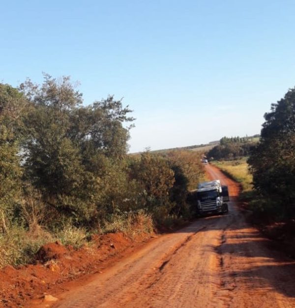 Intentan robar camión con 33 toneladas de soja