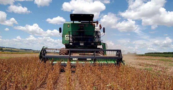 Importación de maquinarias agrícolas, viales y de construcción sigue cayendo