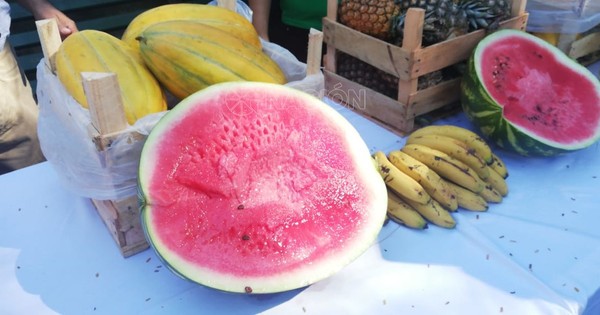 Intendente admite que su yerno vende frutas y cree que comerciante es competencia