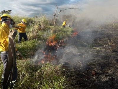 Incendio de gran magnitud es avivado por el viento en zona de la ruta Carapeguá-Nueva Italia - Nacionales - ABC Color