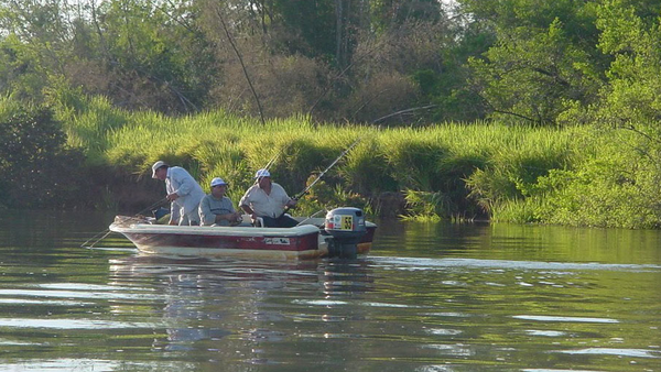 El MADES advierte que la pesca deportiva está prohibida