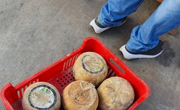 HOY / Allanan distribuidora de quesos podridos con etiquetas premium "truchas"