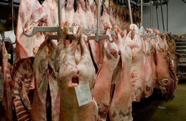 Más de 650 trabajadores de un matadero en Alemania dan positivo por Covid-19 - SNT