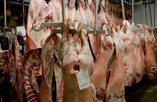 Más de 650 trabajadores de un matadero en Alemania dan positivo por Covid-19 - C9N