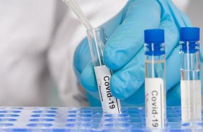 Científicos argentinos desarrollaron un suero de caballos que neutraliza el coronavirus - C9N