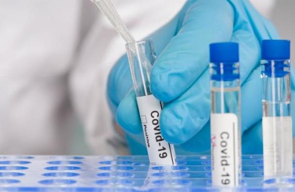 Científicos argentinos desarrollaron un suero de caballos que neutraliza el coronavirus - C9N