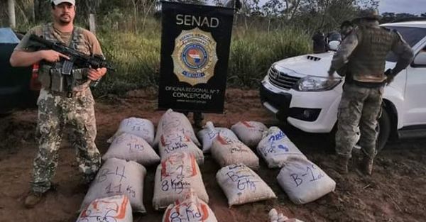 Destruyen más de 9.600 kilos de marihuana en Yby Yaú