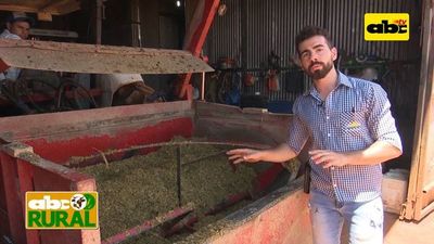 Abc Rural: Preparación de alimentos para ganado en confinamiento - ABC Rural - ABC Color
