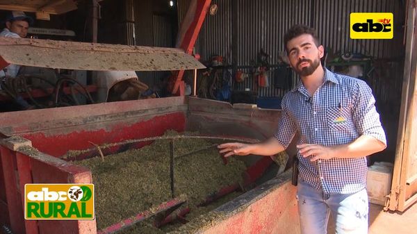 Abc Rural: Preparación de alimentos para ganado en confinamiento - ABC Rural - ABC Color