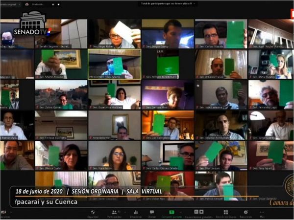 Los senadores entierran la ley que permite falsear datos de las DDJJ