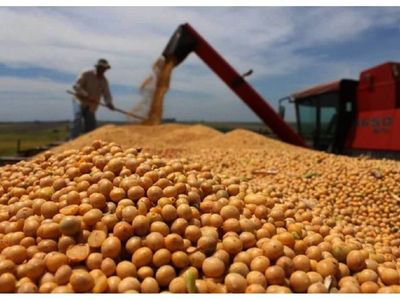 Vicentin  está suspendida como socia de Capeco