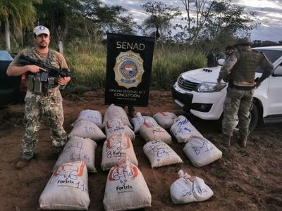 Senad anula más de 9.600 kilos de marihuana en Concepción