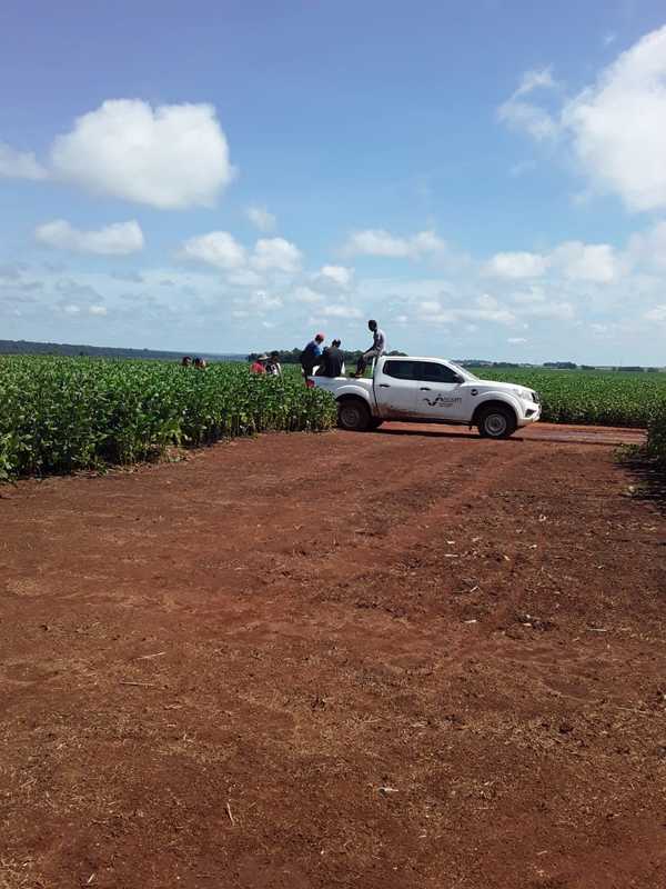 Funcionarios del Indert pretenden despojar de sus tierras a colonos para entregarlas a delincuentes