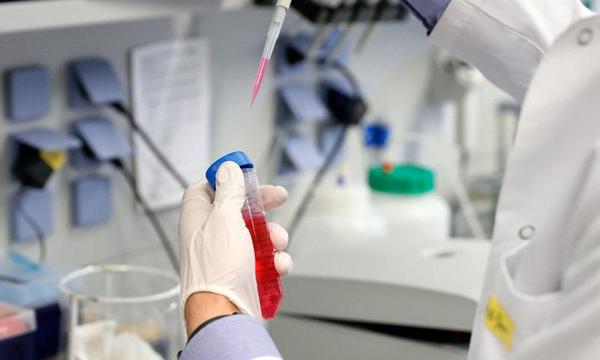 La OMS vaticinó que habrá millones de dosis disponibles de una vacuna contra el COVID-19 a finales de 2020 – Prensa 5