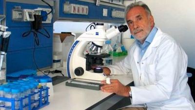 “Los nuevos positivos de coronavirus tienen una carga viral muy baja, no contagiosa”, aseguró uno de los máximos expertos italianos