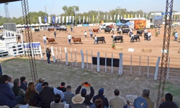 » Suspenden la edición de la Expo Trébol 2020