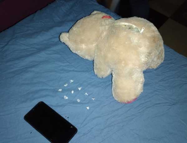 ¡No era cariñosito! En un osito de peluche, joven distribuía dosis de drogas - Megacadena — Últimas Noticias de Paraguay