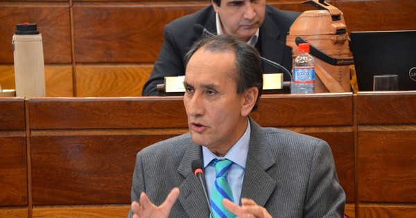 Senador considera que el Ejecutivo tiene recursos suficientes para subsidiar a la Ande