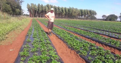 Unas 42 familias de Ñeembucú fueron asistidas con créditos para reactivación económica