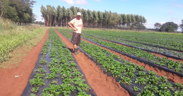 Unas 42 familias de Ñeembucú fueron asistidas con créditos para reactivación económica