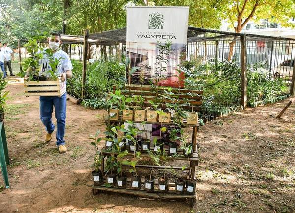EBY entrega plantines por el Día del Árbol - Digital Misiones