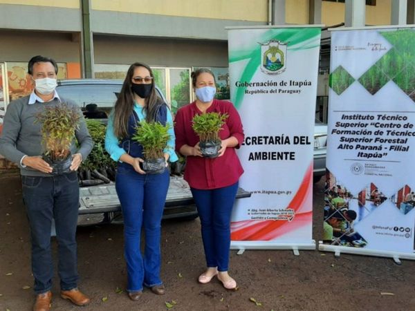 Entrega de plantines por el Día del Árbol en Itapúa