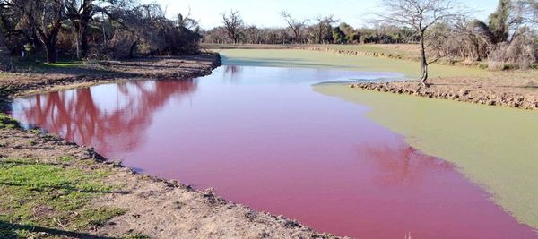 Tomarán muestras de un tajamar que se tiñó de rojo - Locales - ABC Color