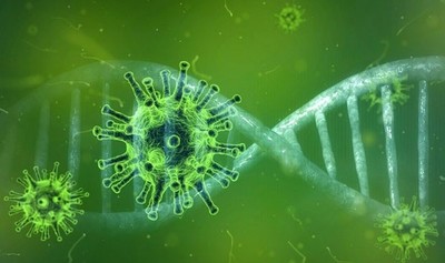 Pandemia del coronavirus: Así está el terrible panorama en Brasil - Megacadena — Últimas Noticias de Paraguay
