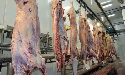 Si FrigoNorte abre con Athena Foods, “sería perder soberanía”, según Asociación de Productores de Carne - Economía y más - ABC Color