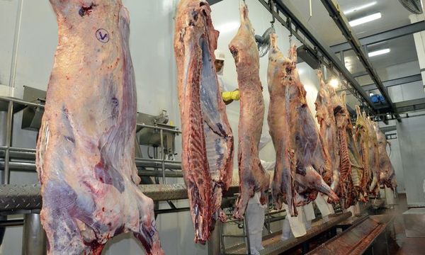 Si FrigoNorte abre con Athena Foods, “sería perder soberanía”, según Asociación de Productores de Carne - Economía y más - ABC Color